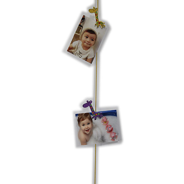 Picture Hanging Wire with Novelty Magnets