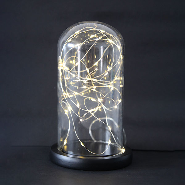 LED String Lights