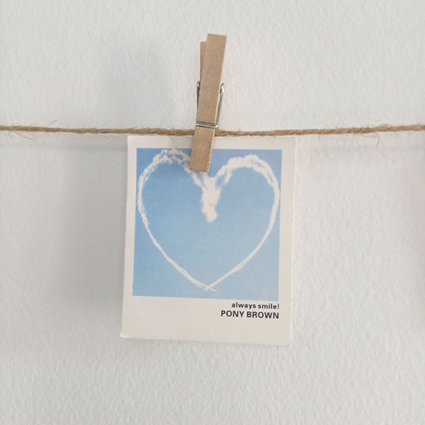 Hanging Photo String With Clips