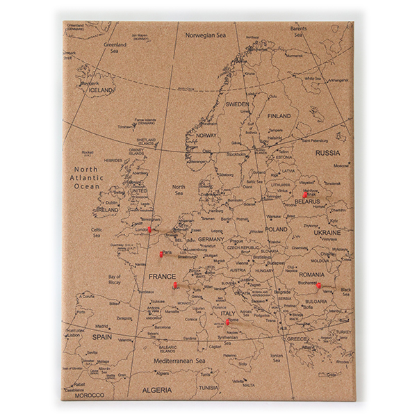 Continental Map Cork Board