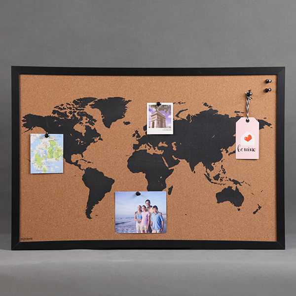 Framed World Map Pin Board