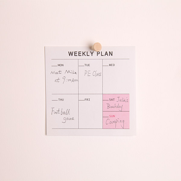 Weekly Planner Sticky Notes Pad