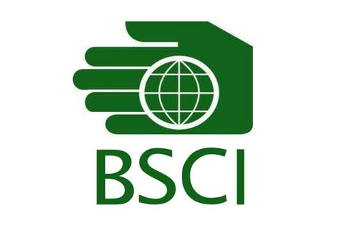 BSCI